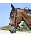 In Horse We Trust - Bride Evolution Contact Dressage avec pull-back