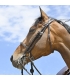 In Horse We Trust - Bride Evolution Contact Dressage sans pull-back