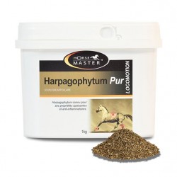 Harpagophytum pur 