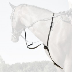 Martingale C-Cure In Horse We Trust