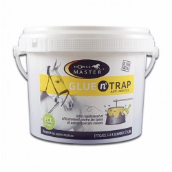 Glue n’trap HorseMaster