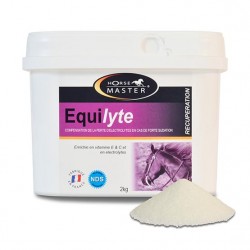 Equisport  Electrolytes HorseMaster